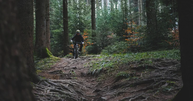 La transition piste mouillée qui sèche : le moment critique